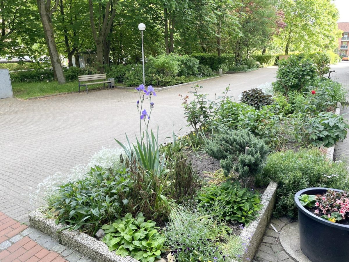 Immobilienangebot - Kiel / Mettenhof - Alle - Preiswerte 2-Zimmer-Wohnung mit neuer Küche in ruhiger Lage von Kiel-Mettenhof