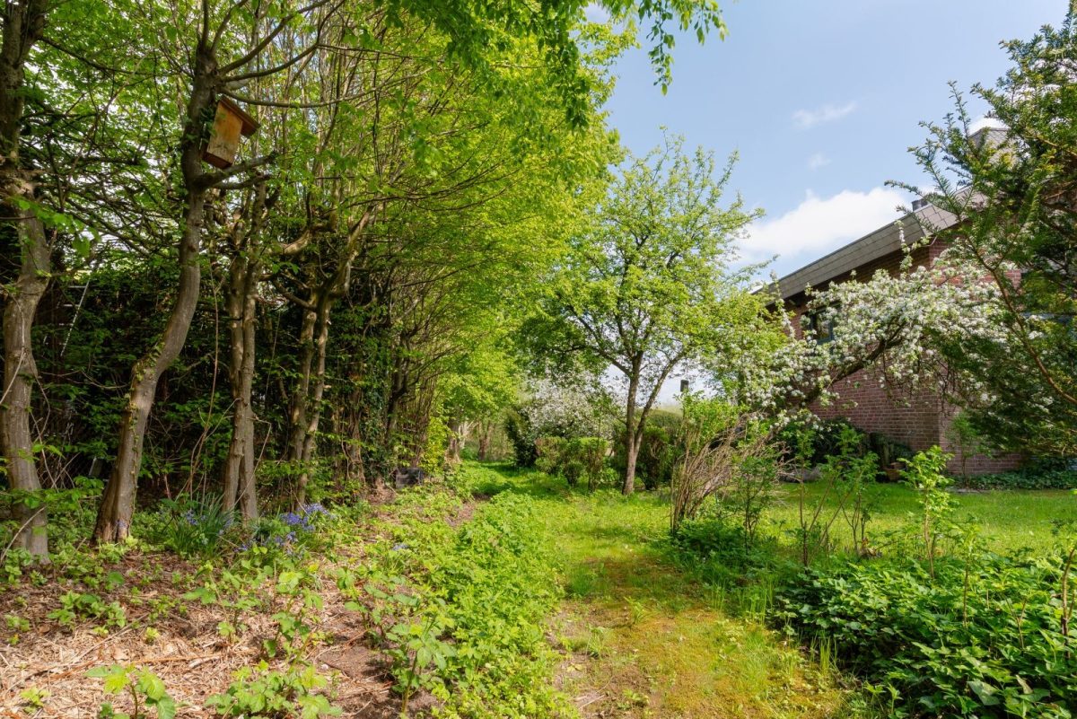 Immobilienangebot - Molfsee - Alle - Wohnen am Schulensee – ein Zuhause mit Seele, Weite und eigener Ruheoase am Wasser
