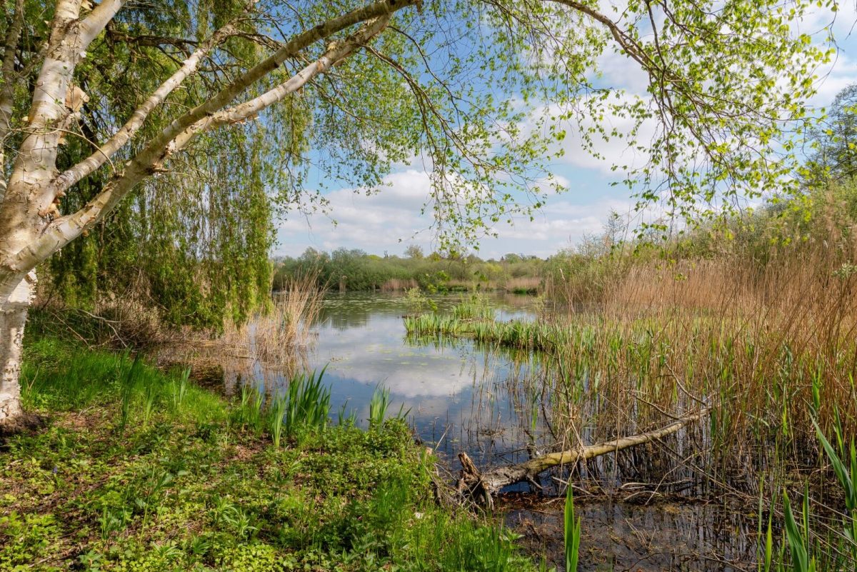 Immobilienangebot - Molfsee - Alle - Wohnen am Schulensee – ein Zuhause mit Seele, Weite und eigener Ruheoase am Wasser