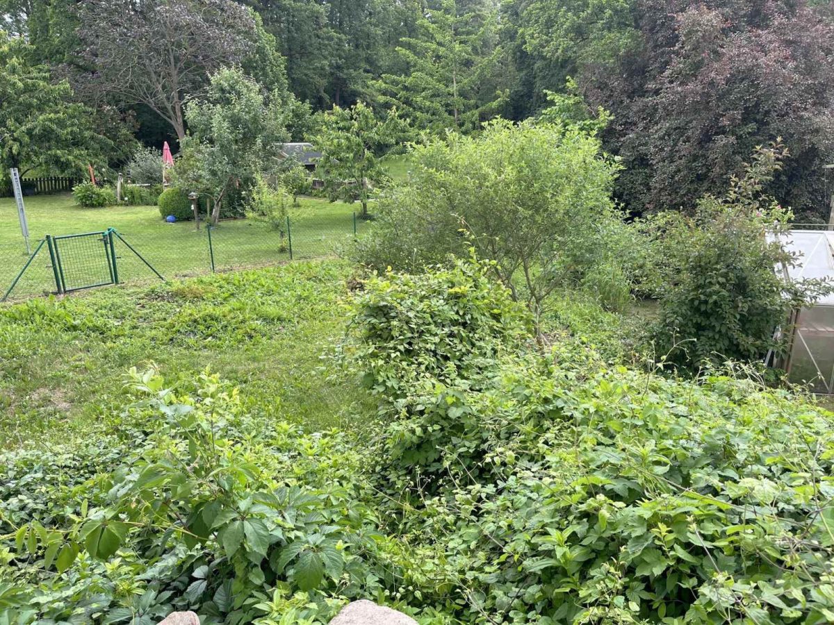 Immobilienangebot - Molfsee - Alle - Vermietetes, sanierungsbedürftiges EFH mit ELW im beliebten Molfsee