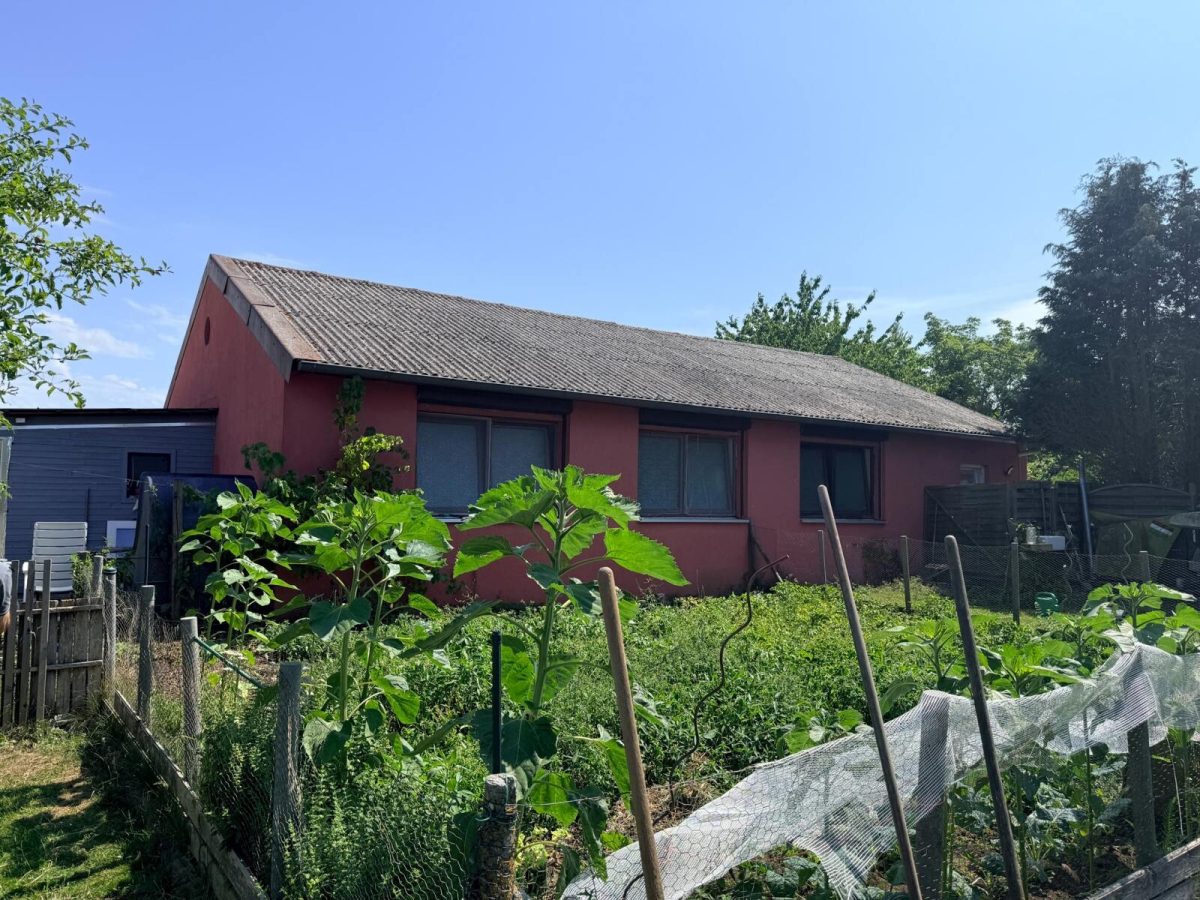 Immobilienangebot - Schönberg - Alle - Gewerbeimmobilie mit 2 Hallen und Bauplatz in Schönberg