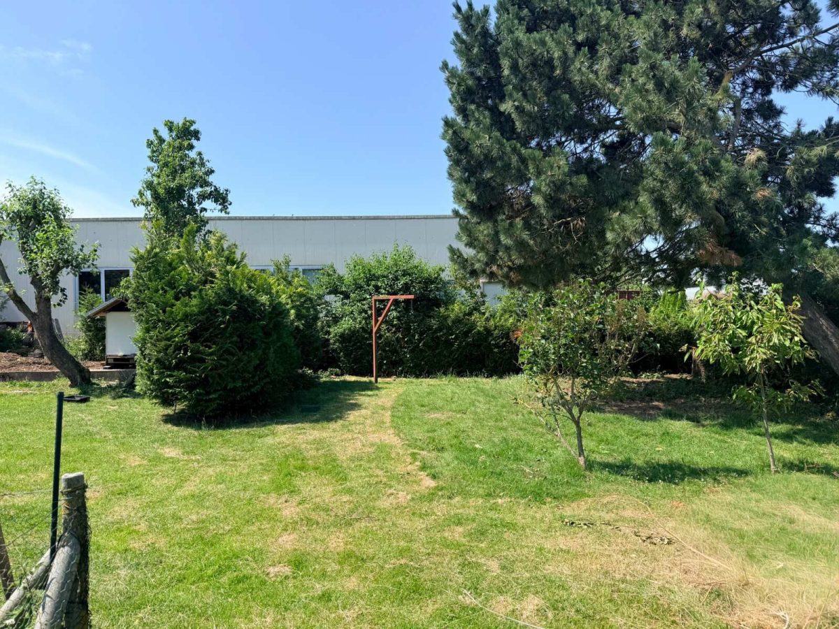 Immobilienangebot - Schönberg - Alle - Gewerbeimmobilie mit 2 Hallen und Bauplatz in Schönberg