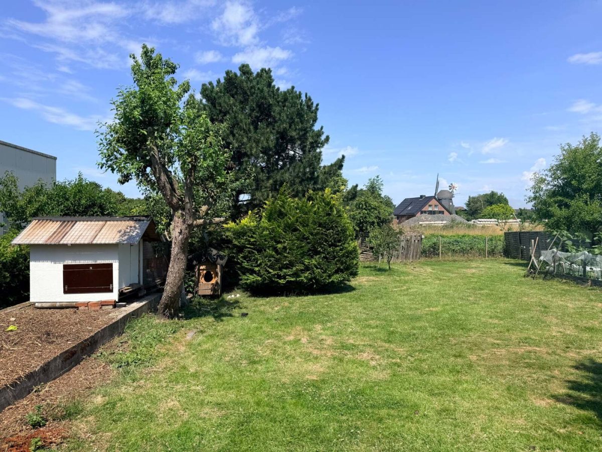Immobilienangebot - Schönberg - Alle - Gewerbeimmobilie mit 2 Hallen und Bauplatz in Schönberg