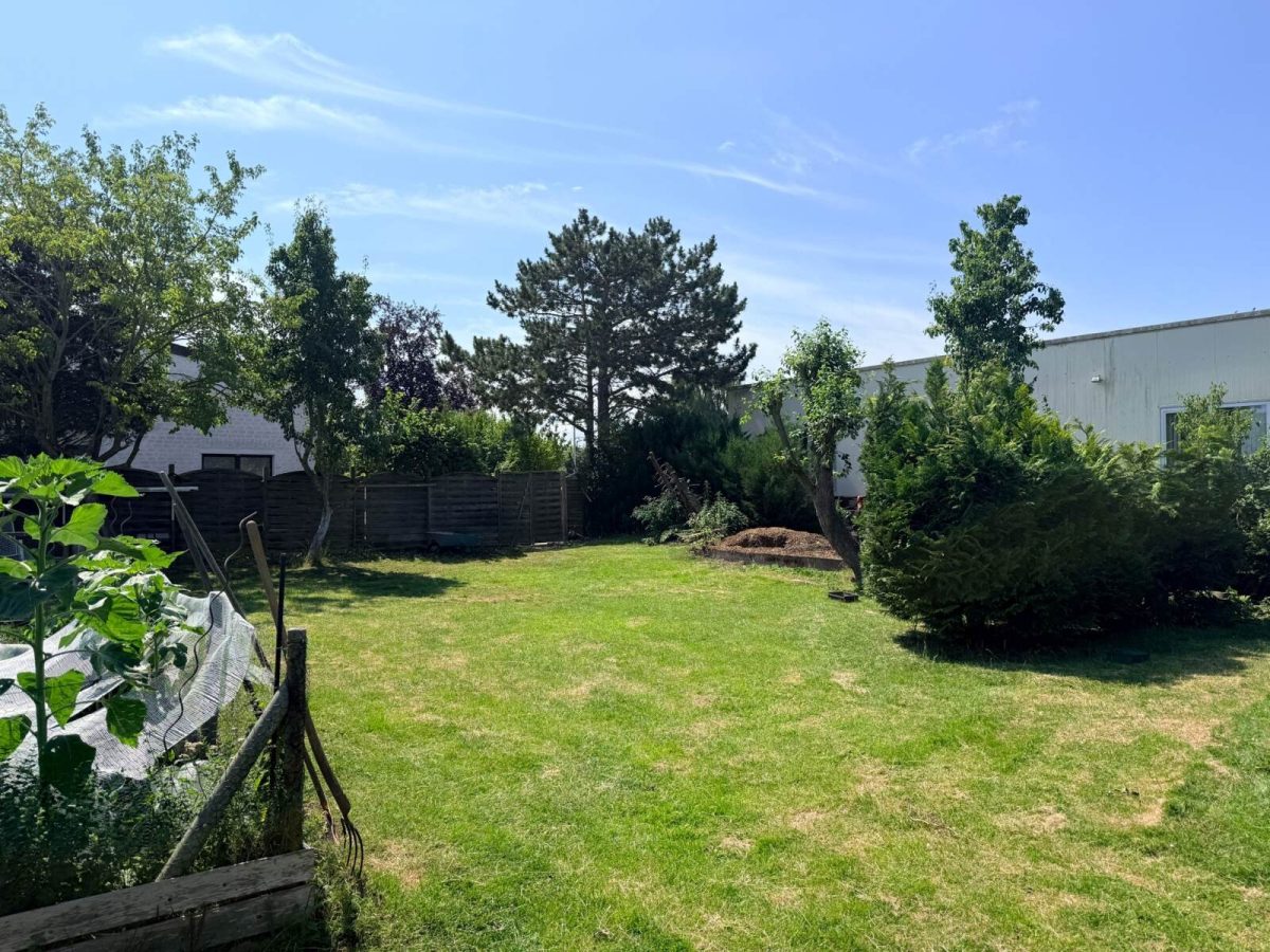 Immobilienangebot - Schönberg - Alle - Gewerbeimmobilie mit 2 Hallen und Bauplatz in Schönberg