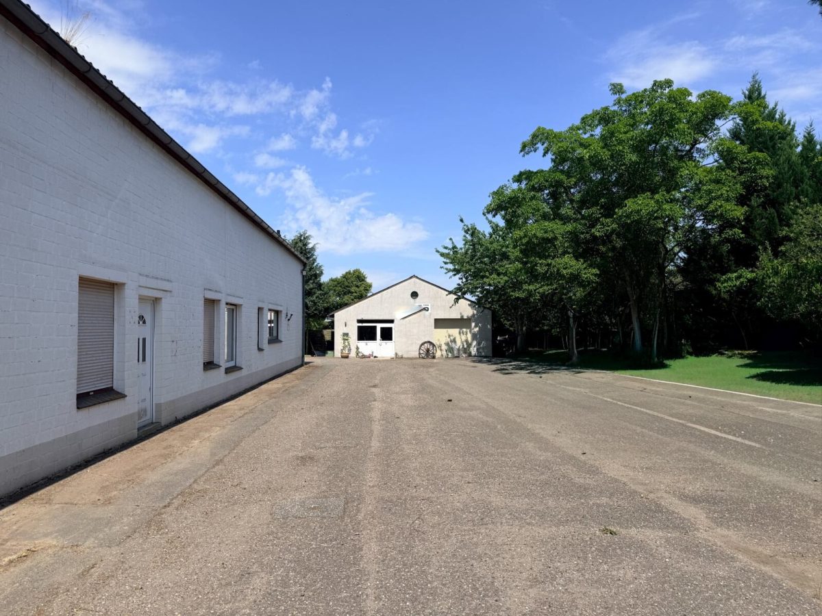Immobilienangebot - Schönberg - Alle - Gewerbeimmobilie mit 2 Hallen und Bauplatz in Schönberg