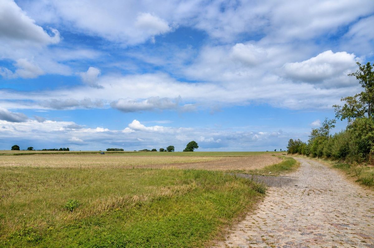 Immobilienangebot - Panker / Satjendorf - Alle - Zwischen Feldern und Ostsee – Ihr neues Zuhause in Satjendorf