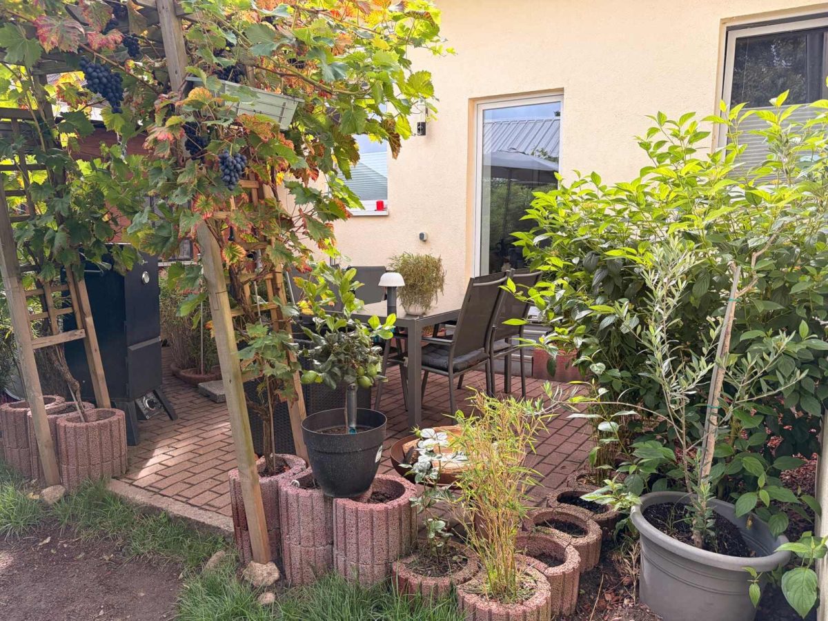 Immobilienangebot - Preetz - Alle - Charmantes Wohnhaus mit 3 Einheiten – saniert, gepflegt und bereit für die Zukunft“