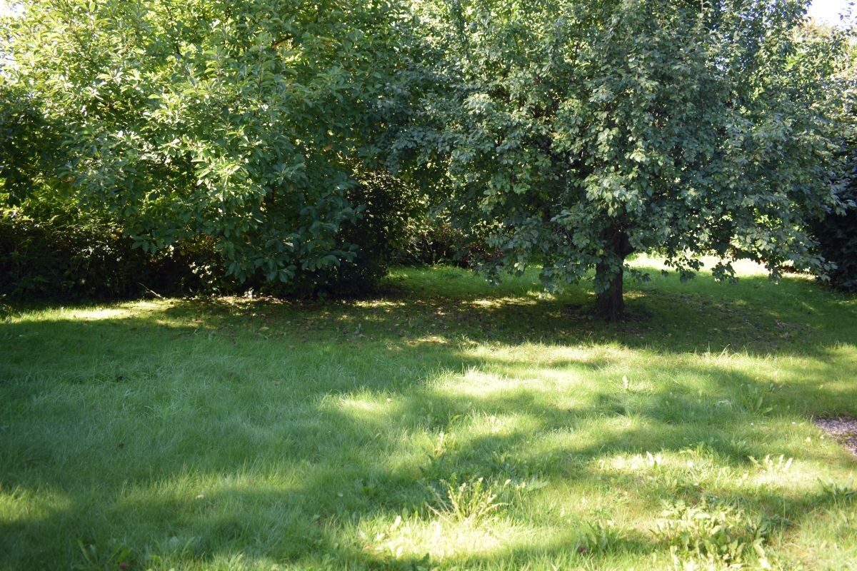 Immobilienangebot - Altenholz / Klausdorf - Alle - Freistehender Bungalow auf traumhaften Grundstück in absolut ruhiger Endlage