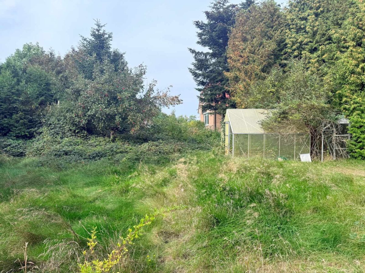 Immobilienangebot - Langwedel - Alle - Zweifamilienhaus mit Nebengebäude in Langwedel