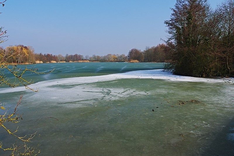Mannheim-Vogelstang - Krebs Immobilien - Ihr Immobilienmakler in Ihrer Region