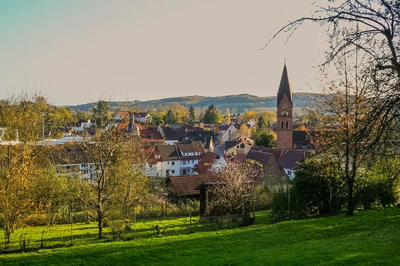 Blick nach Bammental