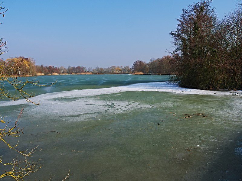 Blick auf den Vogelstangsee im Winter