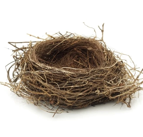 Ein leeres Vogelnest