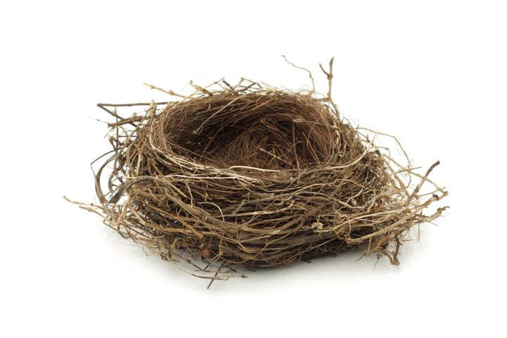 Ein leeres Vogelnest