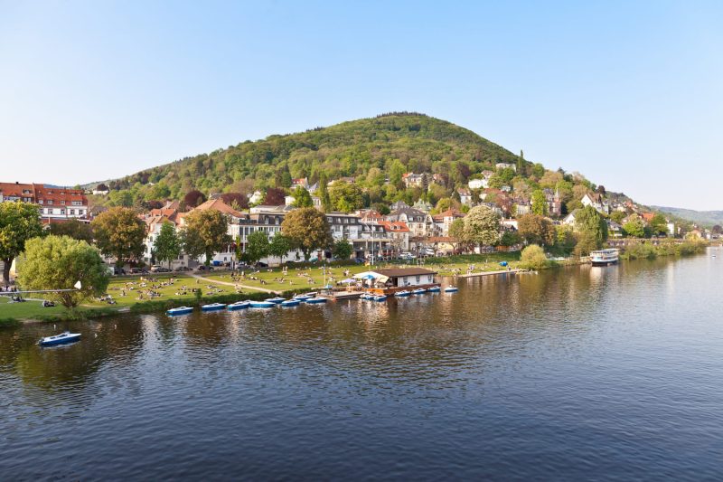 Panoramablick auf den Stadtteil Neuenheim in Heidelberg mit dem Neckarfluss und grünen Ufern.