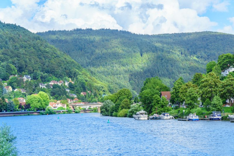 Blick auf Schlierbach mit hügeligen Weinfeldern und einem malerischen Blick auf die umliegende Landschaft.