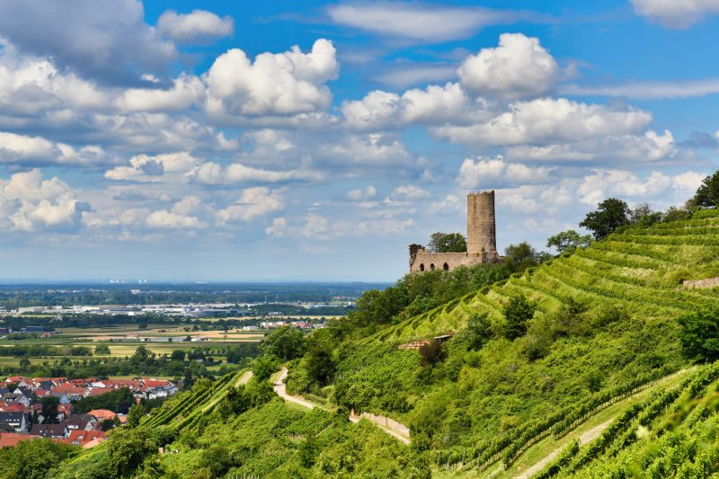 Panoramablick auf den malerischen Ort Schriesheim, umgeben von Weinbergen und Hügeln.