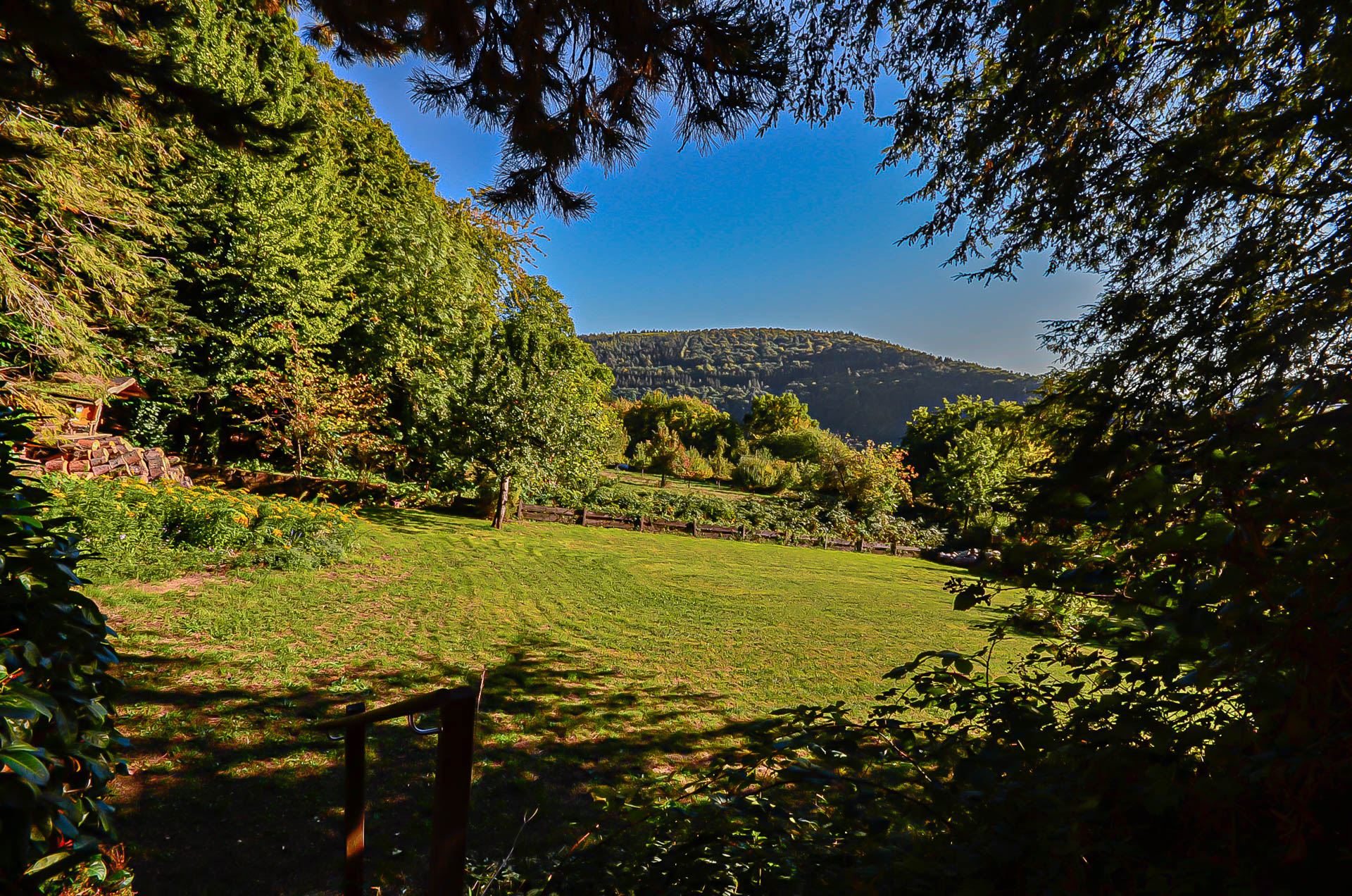Immobilienangebot - Neckargemünd - Alle - Ein Kleinod in Kleingemünd – Großzügiges Einfamilienhaus mit tollem Garten