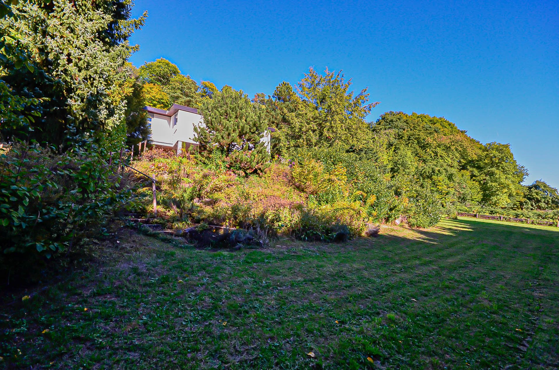 Immobilienangebot - Neckargemünd - Alle - Ein Kleinod in Kleingemünd – Großzügiges Einfamilienhaus mit tollem Garten