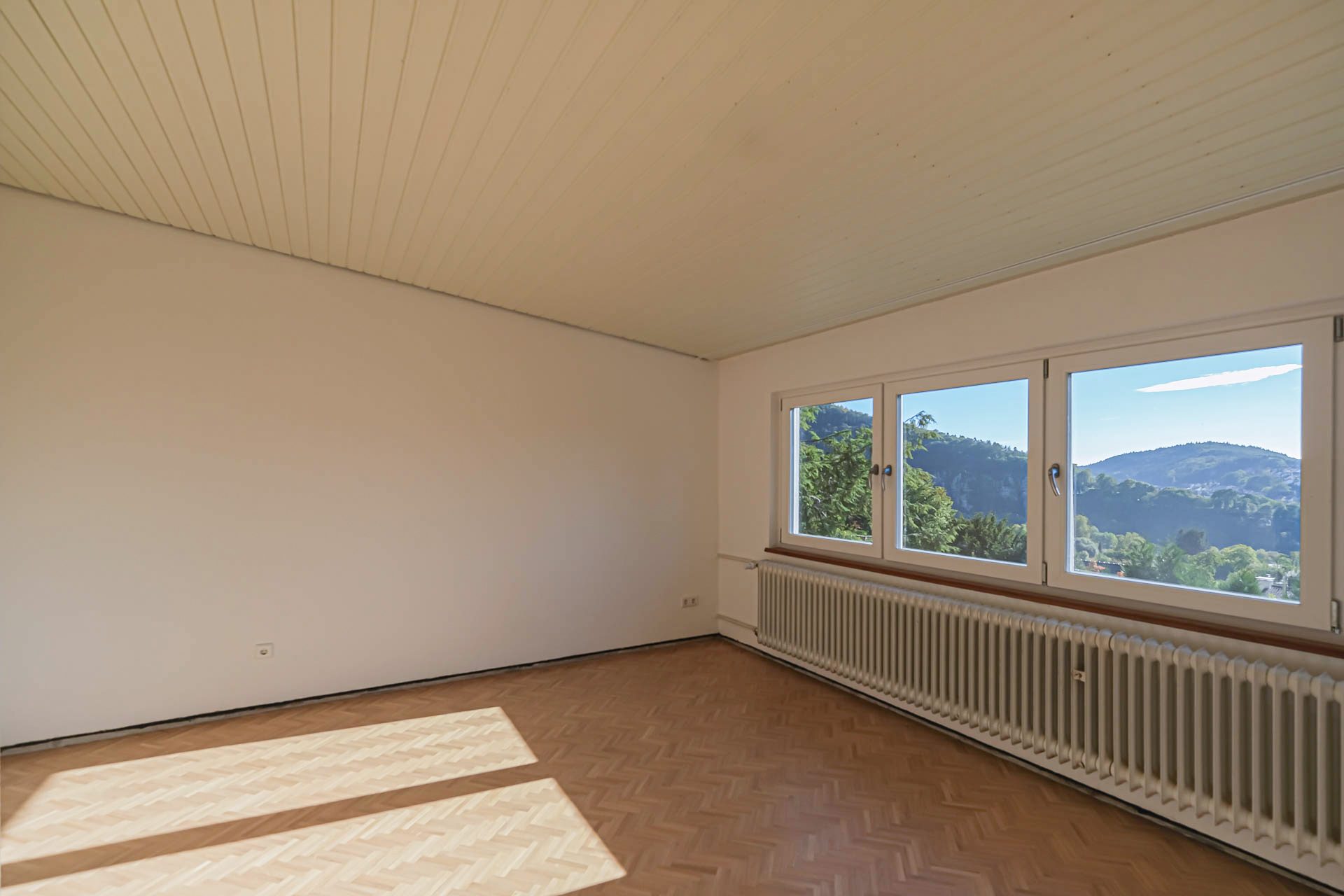 Immobilienangebot - Neckargemünd - Alle - Ein Kleinod in Kleingemünd – Großzügiges Einfamilienhaus mit tollem Garten