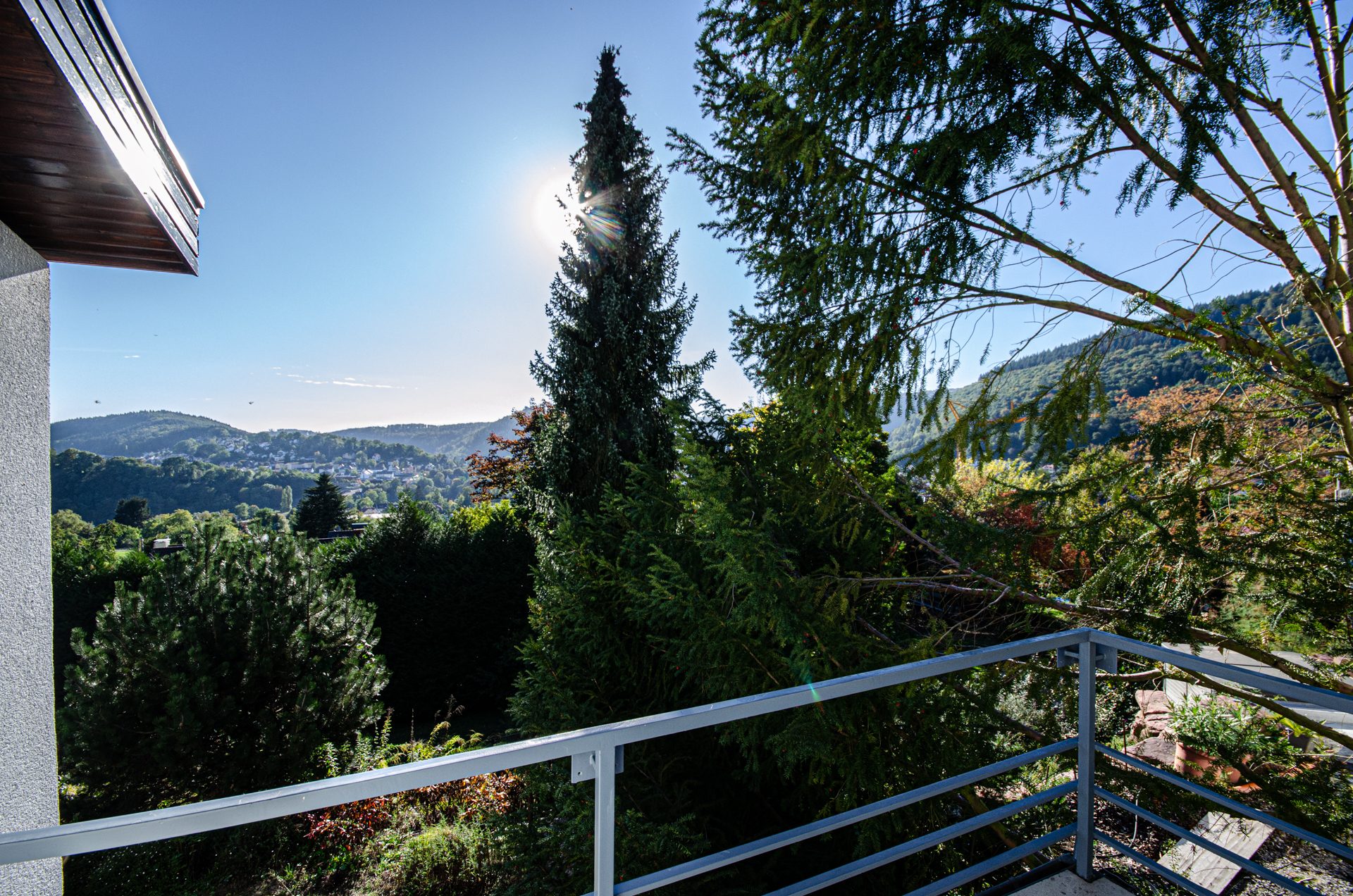 Immobilienangebot - Neckargemünd - Alle - Ein Kleinod in Kleingemünd – Großzügiges Einfamilienhaus mit tollem Garten