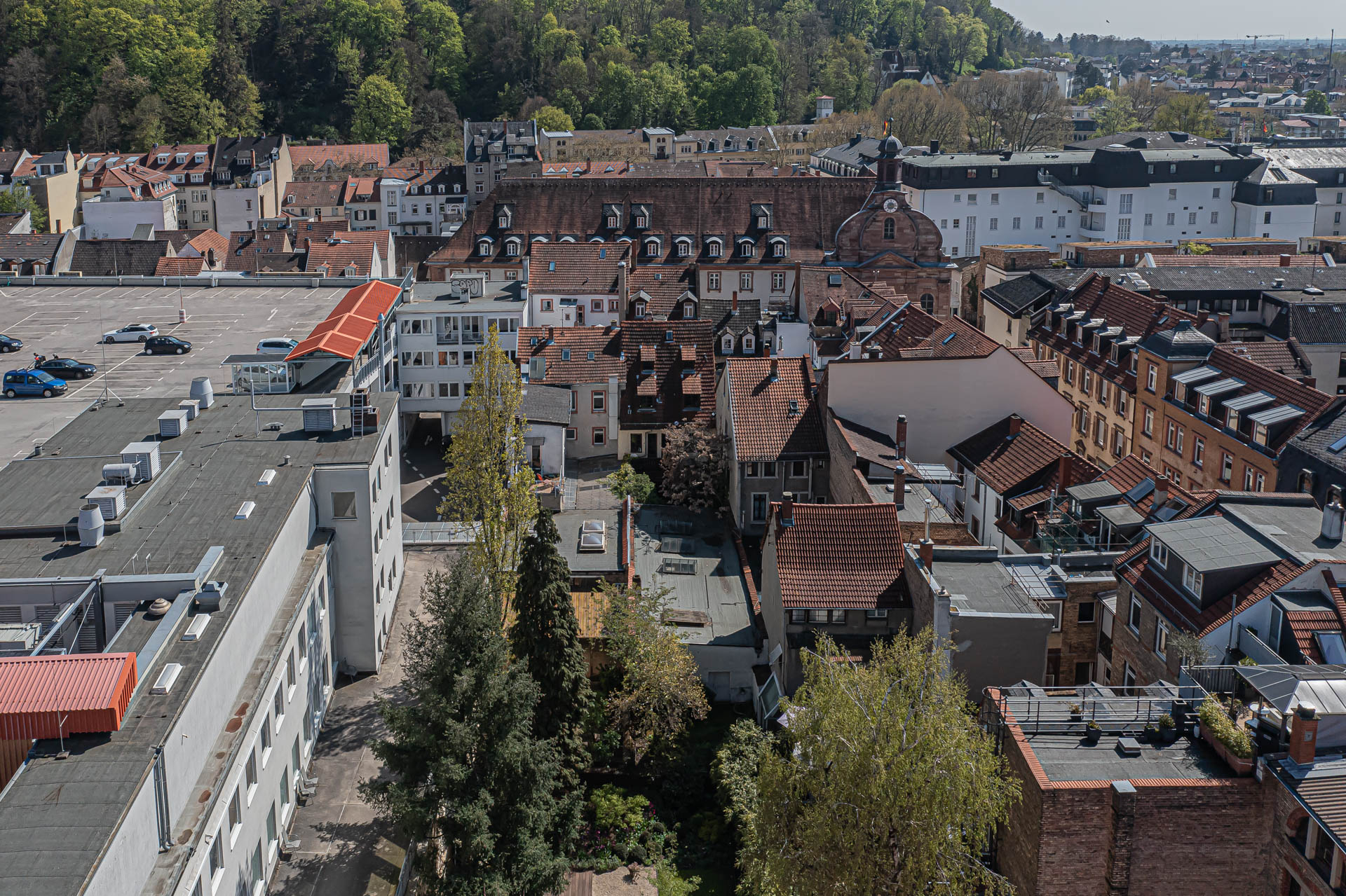 Immobilienangebot - Heidelberg - Alle - Lebendiger Standort in begehrter Lage: Wohn- und Geschäftshaus in der Heidelberger Altstadt