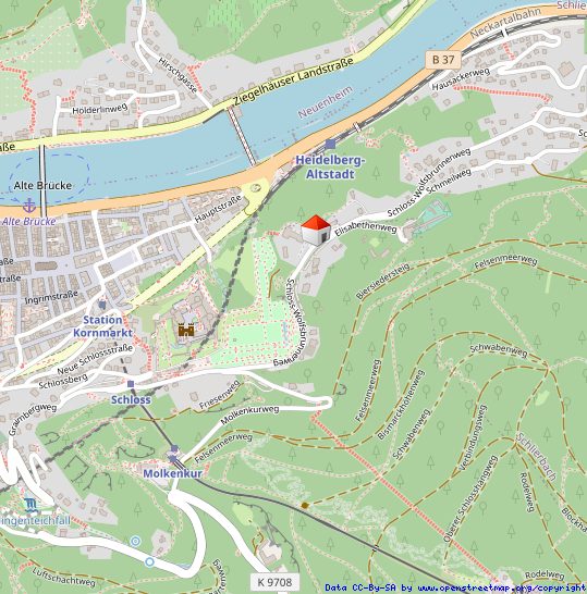 Immobilienangebot - Heidelberg - Alle - Exklusive Vierzimmerwohnung mit Schlossblick und vielen Extras