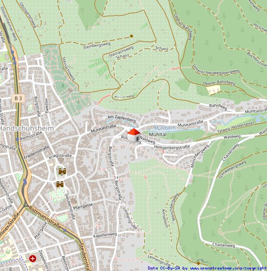 Immobilienangebot - Heidelberg - Alle - Ohne Käuferprovision: Charmantes Stadthaus mit 5 Zimmern und schöner Sonnenterrasse