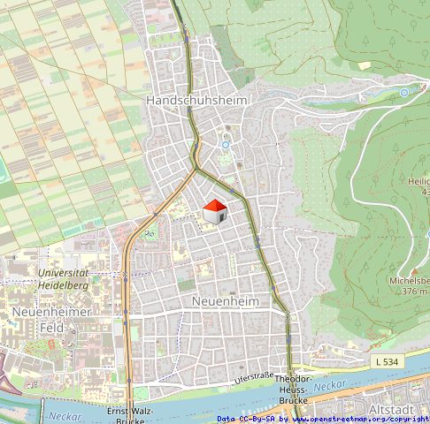 Immobilienangebot - Heidelberg - Alle - Wohntraum in Handschuhsheim: Kernsanierte 3,5-Zimmer-Wohnung mit 2 Bädern, 2 Balkonen und Gartenteil