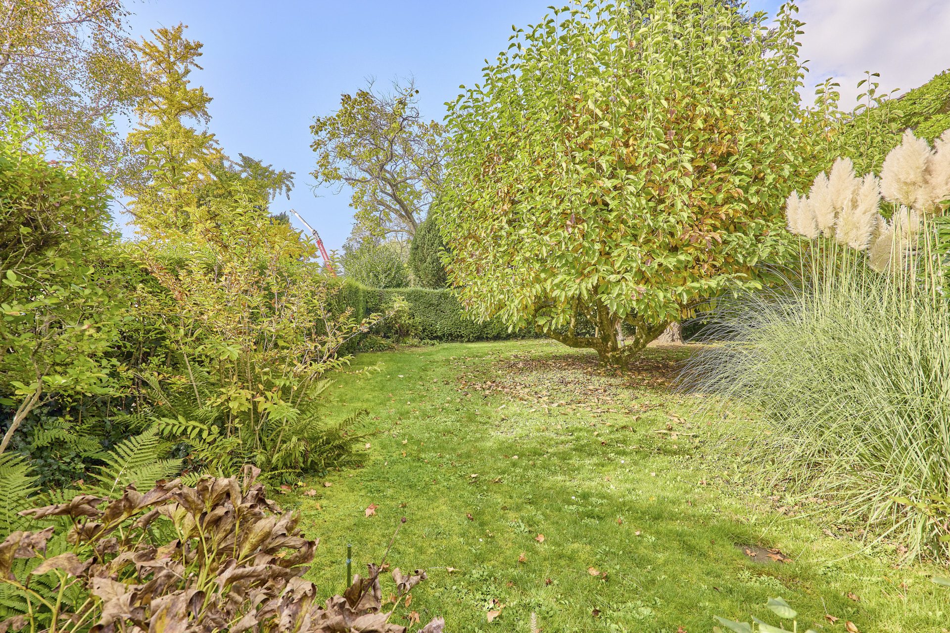 Immobilienangebot - Heidelberg - Alle - Hell und großzügig: Einfamilienhaus mit großem Garten und Garage in beliebter Wohnlage