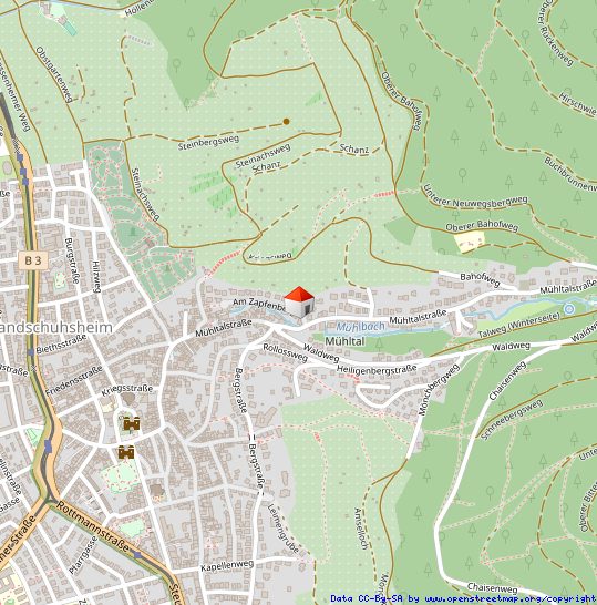 Immobilienangebot - Heidelberg - Alle - Hell und großzügig: Einfamilienhaus mit großem Garten und Garage in beliebter Wohnlage