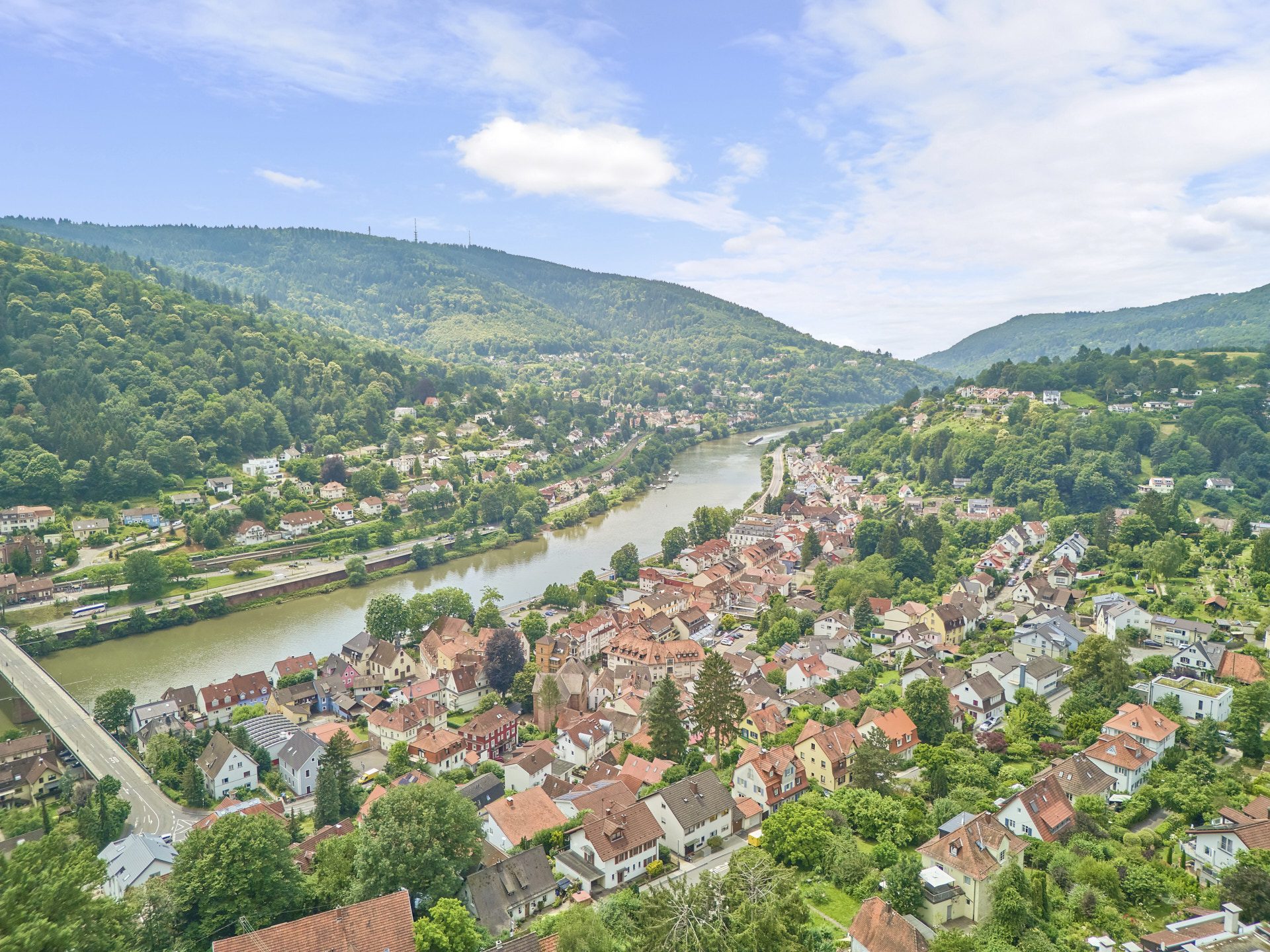 Immobilienangebot - Heidelberg - Alle - Großzügiges Einfamilienhaus mit unverbaubarem Neckarblick und ELW auf gepflegtem Gartengrundstück