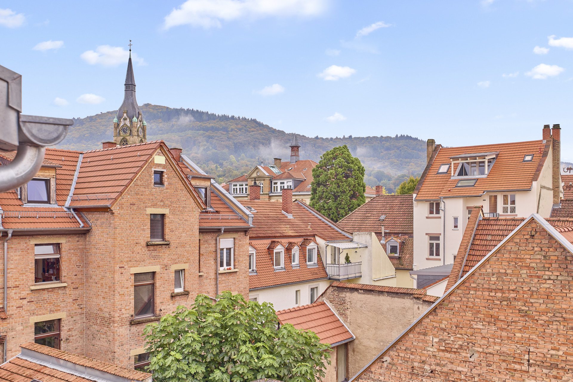 Immobilienangebot - Heidelberg - Alle - Hochwertig saniert: beeindruckendes MFH mit Innenhof und Dachterrassen in Heidelberg-Handschuhsheim