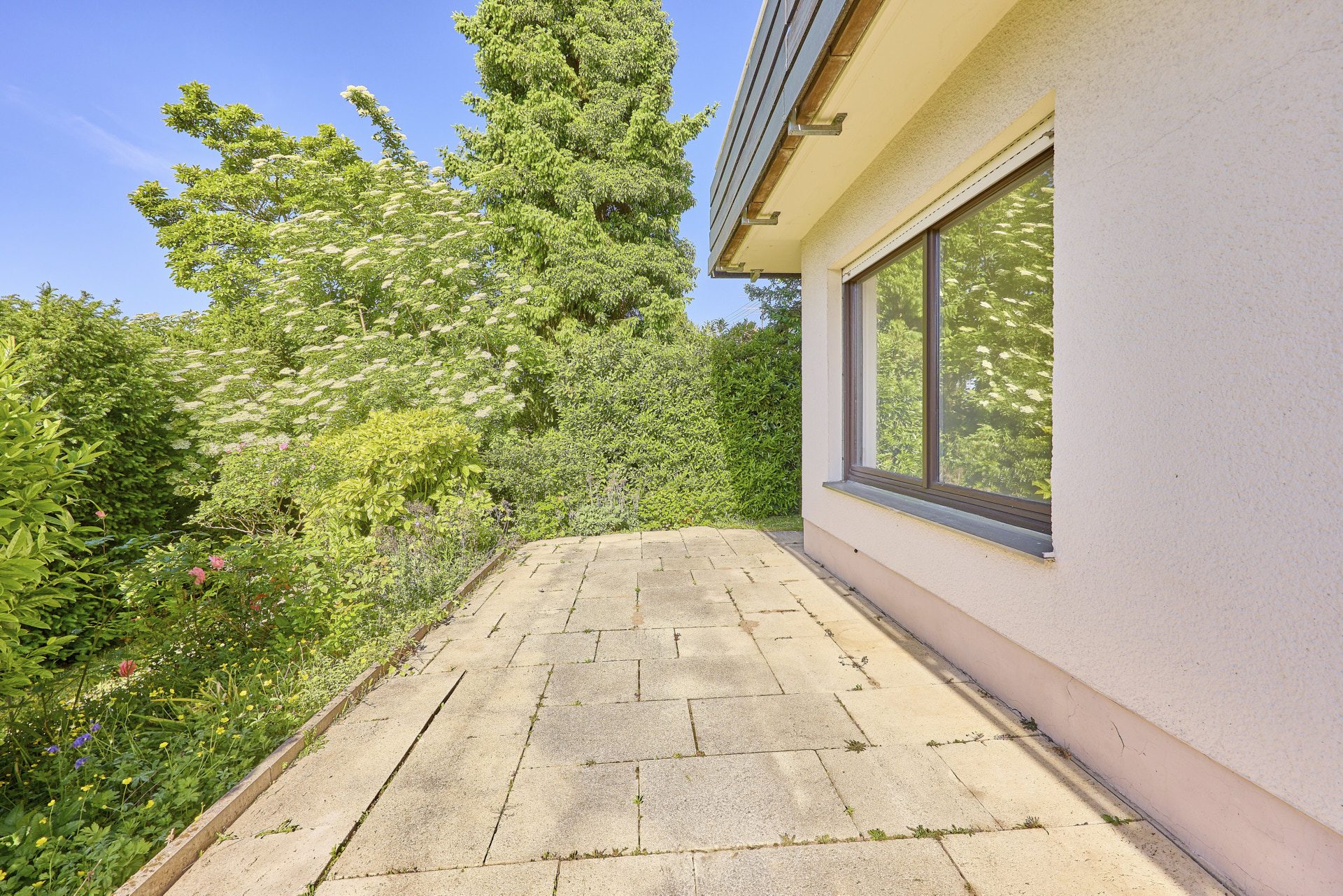 Immobilienangebot - Wiesloch - Alle - Lichtverwöhnte Wohnfreiheit: Großzügiges Einfamilienhaus mit ELW und privatem Garten in Bestlage