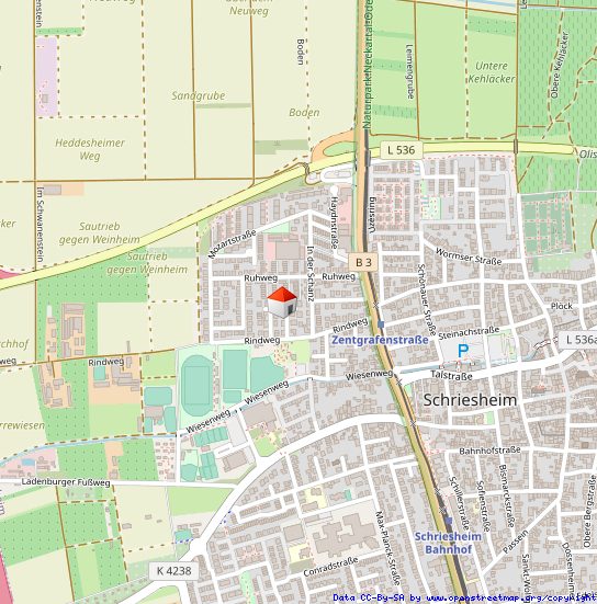 Immobilienangebot - Schriesheim - Alle - Raumwunder in Schriesheim: Familienfreundlich, ruhig gelegen und mit vielen Extras