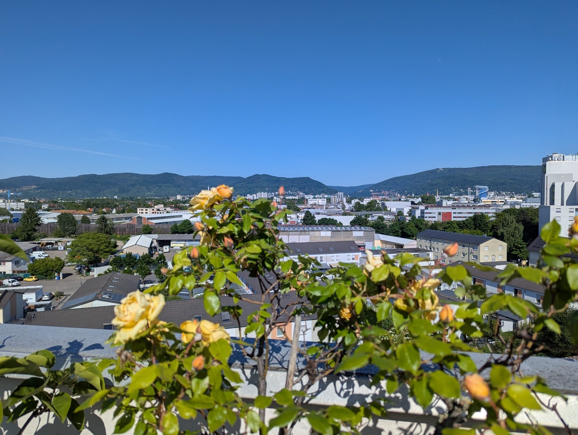 Immobilienangebot - Eppelheim - Alle - Wohnen mit höchstem Komfort über den Dächern von Heidelberg