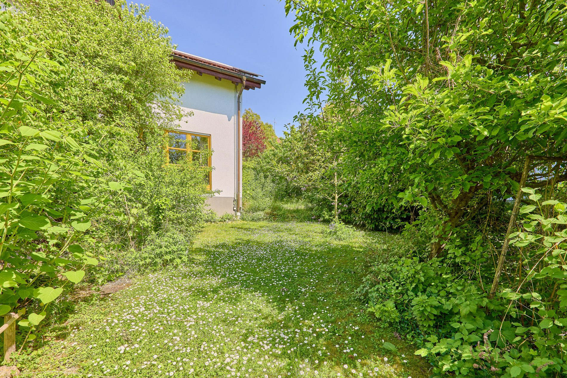 Immobilienangebot - Wiesloch - Alle - Lichtdurchflutet & viel Platz: Großzügiges Einfamilienhaus mit wunderbarem Naturgarten in Wiesloch