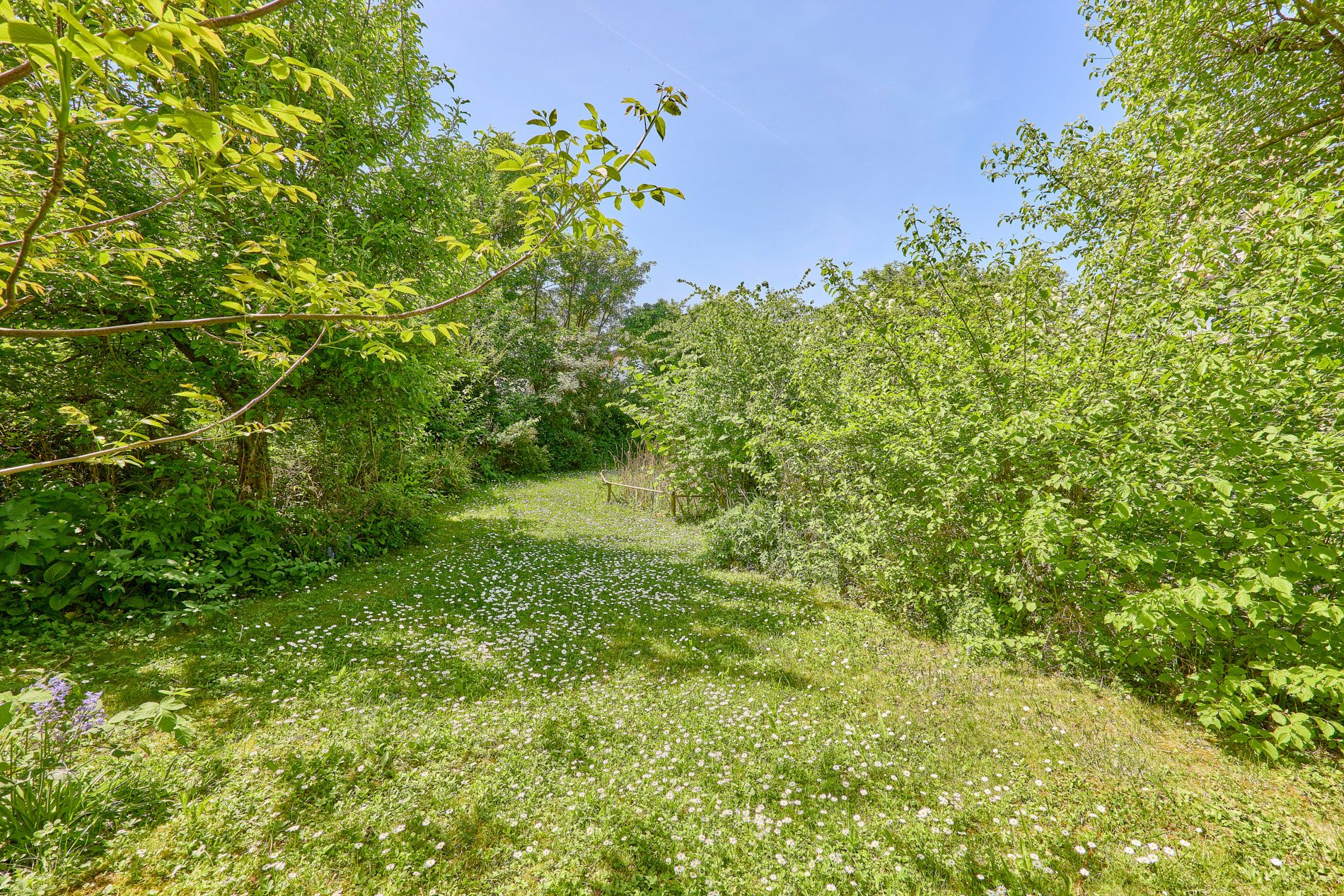 Immobilienangebot - Wiesloch - Alle - Lichtdurchflutet & viel Platz: Großzügiges Einfamilienhaus mit wunderbarem Naturgarten in Wiesloch