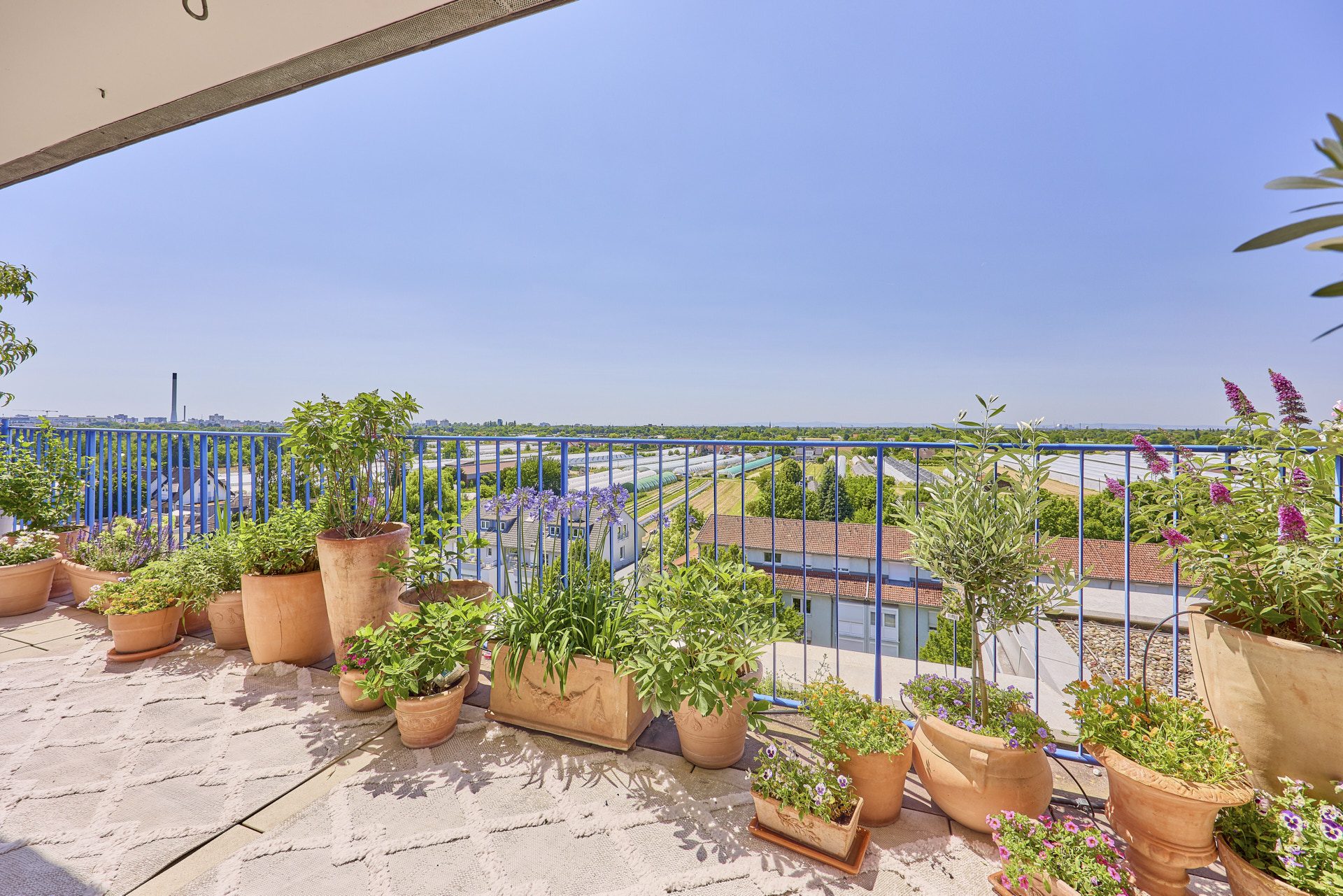 Immobilienangebot - Heidelberg / Handschuhsheim - Alle - Lichtverwöhnt & modernisiert: 4-Zimmer-Penthouse mit fantastischem Ausblick in HD-Handschuhsheim