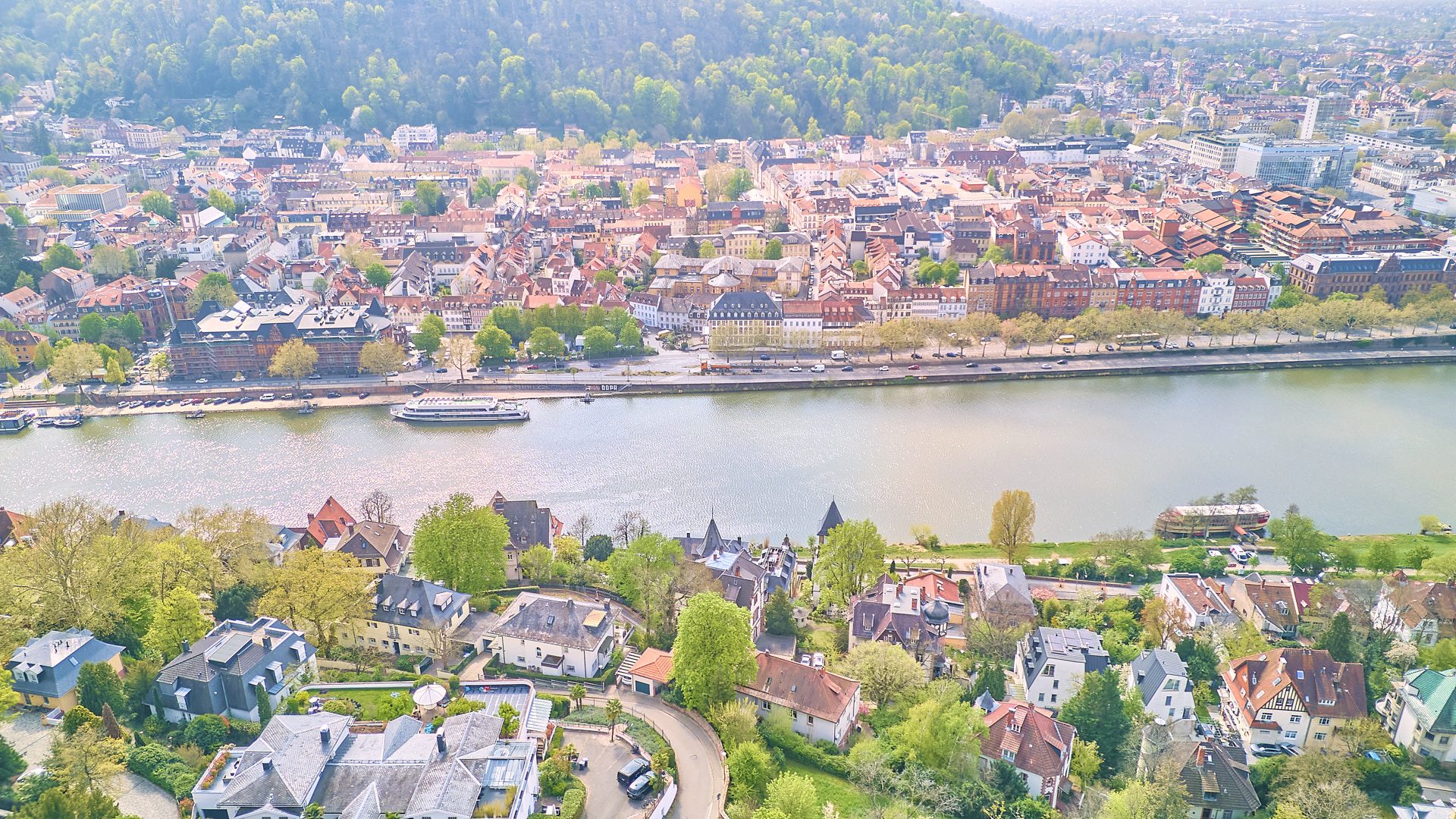 Immobilienangebot - Heidelberg - Alle - HD-Neuenheim: Ehrwürdiges Anwesen mit repräsentativer Wohnfläche in prominenter Hanglage