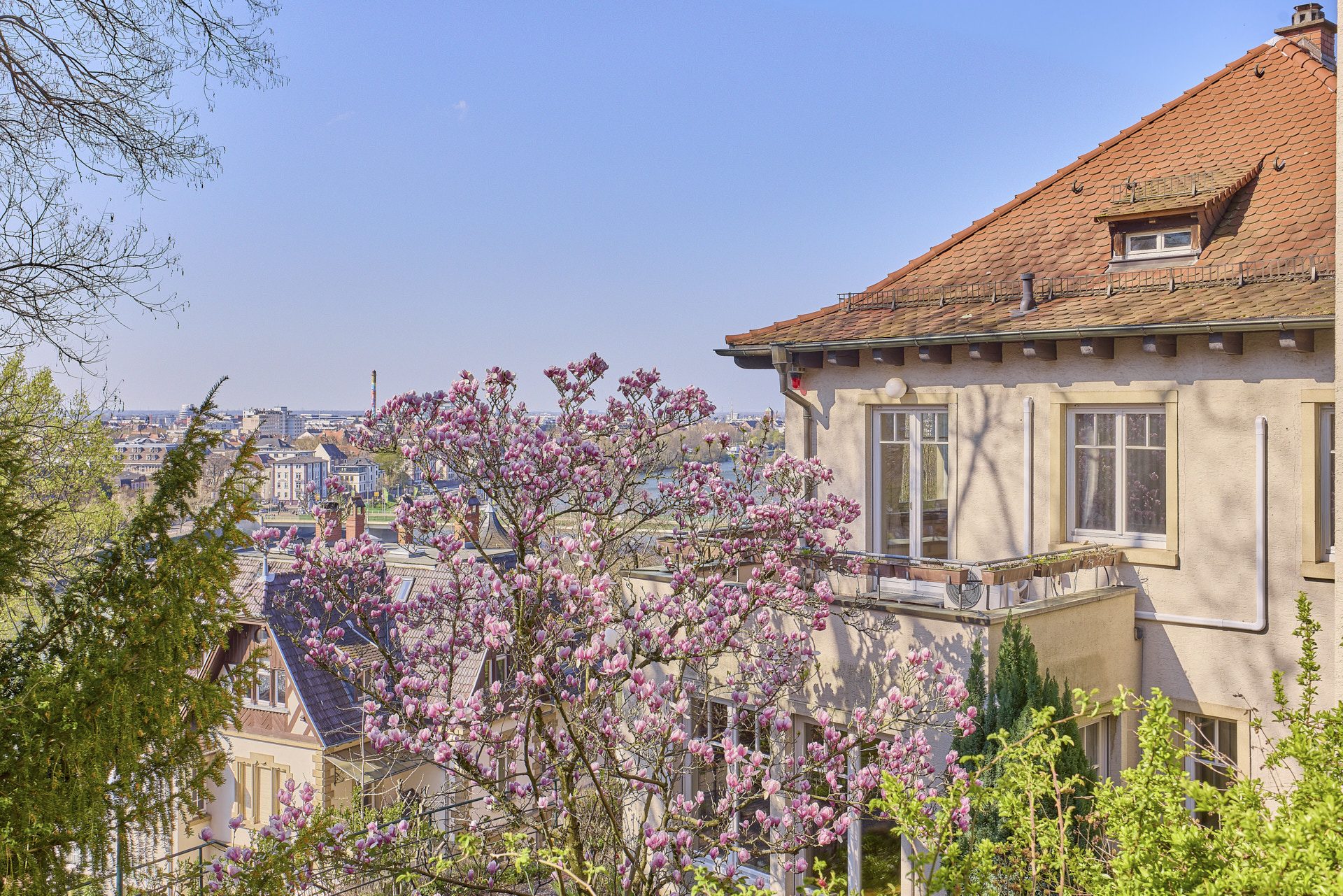 Immobilienangebot - Heidelberg - Alle - HD-Neuenheim: Ehrwürdiges Anwesen mit repräsentativer Wohnfläche in prominenter Hanglage