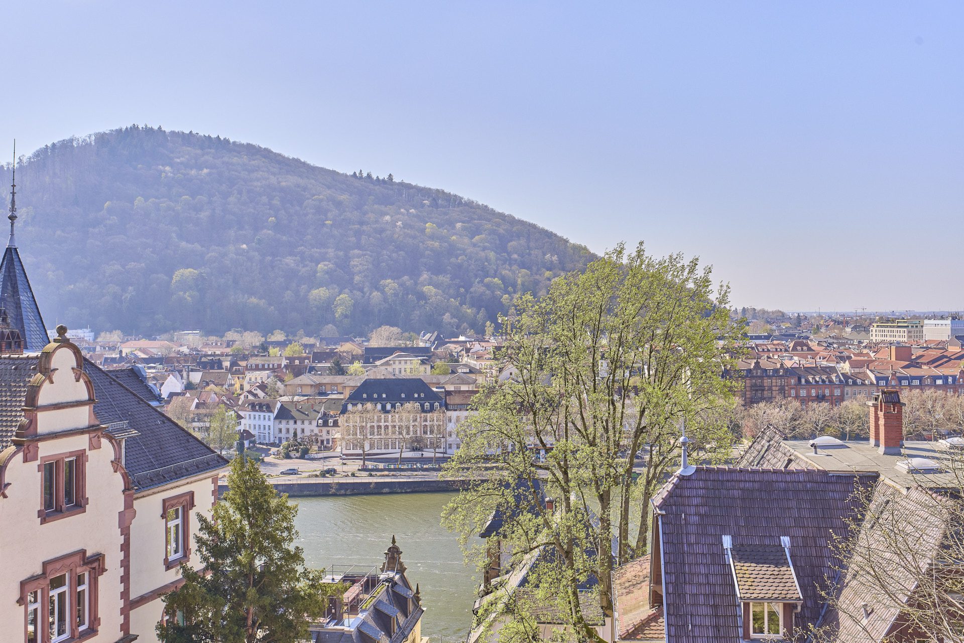 Immobilienangebot - Heidelberg - Alle - HD-Neuenheim: Ehrwürdiges Anwesen mit repräsentativer Wohnfläche in prominenter Hanglage