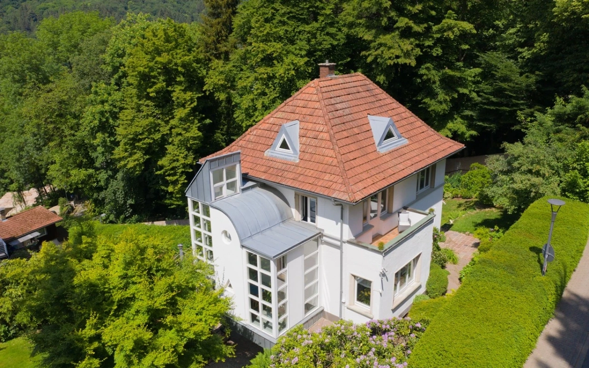 Drohnenaufnahmen mit Krebs Immobilien in Heidelberg