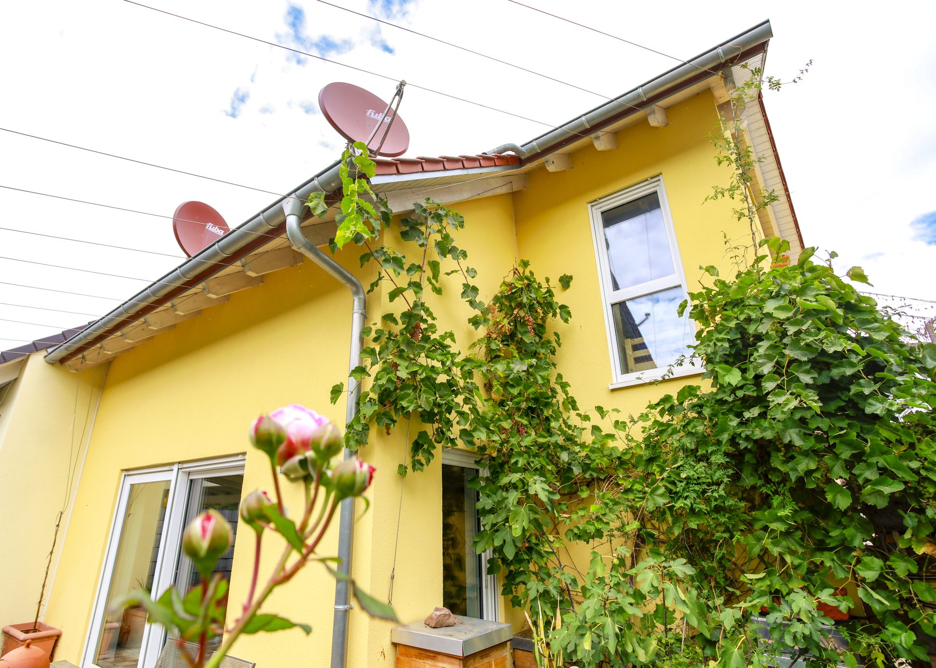 Immobilienangebot - Bammental - Alle - Moderne und energieeffiziente Doppelhaushälfte zum Wohlfühlen in Bammental