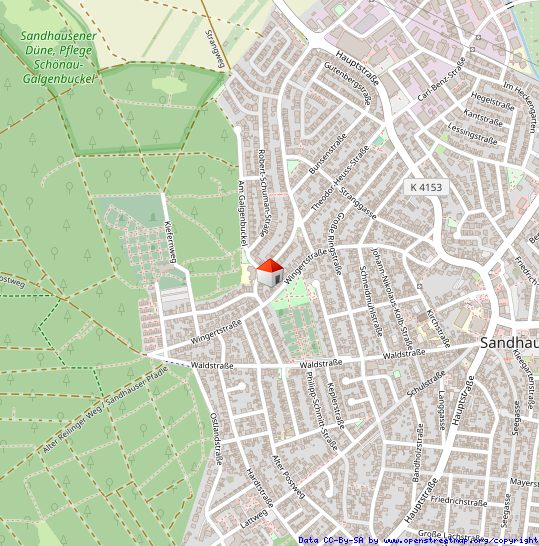 Immobilienangebot - Sandhausen - Alle - Großzügiges Einfamilienhaus mit Garten, vermieteter Einliegerwohnung und spannenden Extras