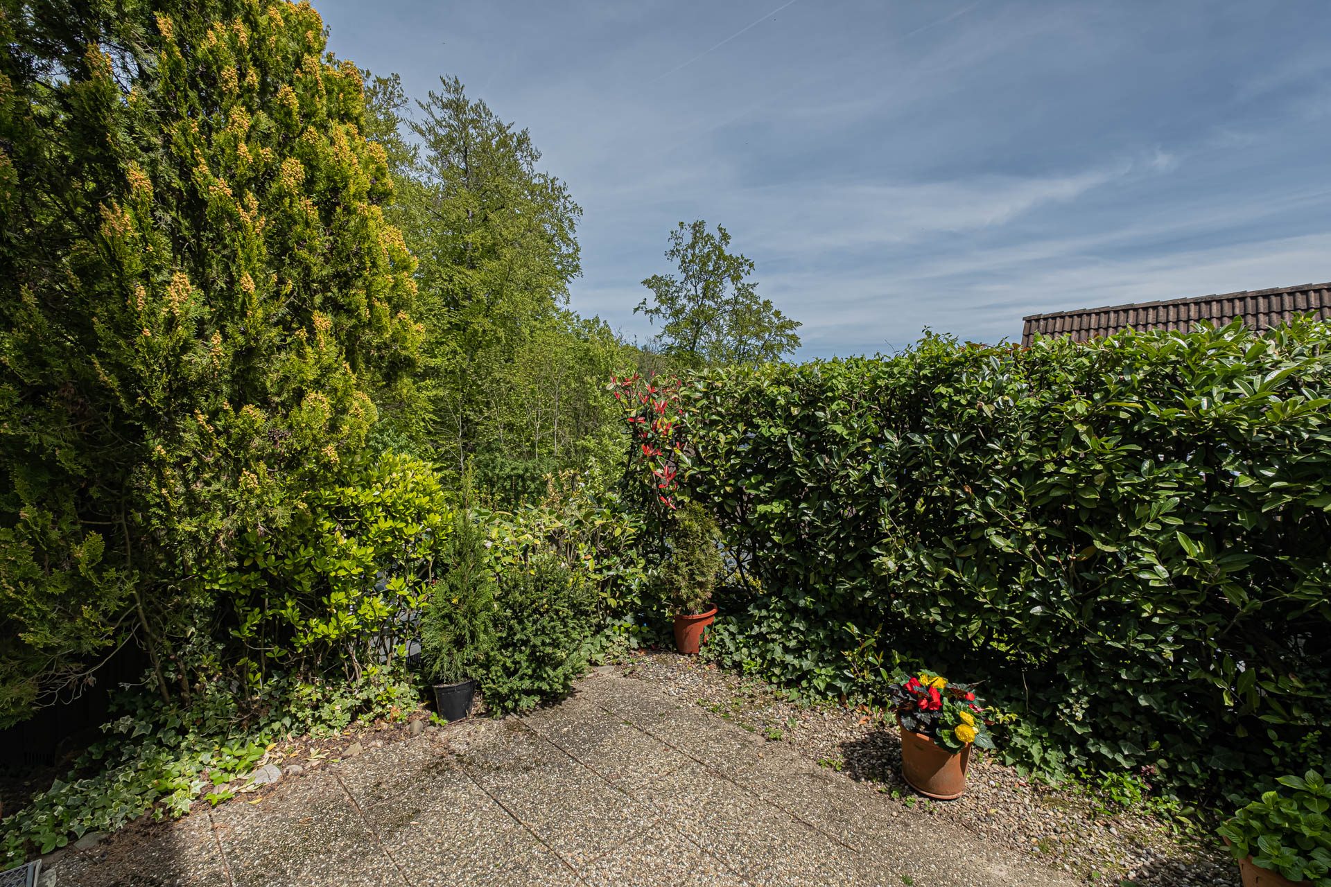 Immobilienangebot - Gaiberg - Alle - Gaiberg: Attraktiv geschnittenes, familienfreundliches Reihenmittelhaus in ruhiger Waldrandlage