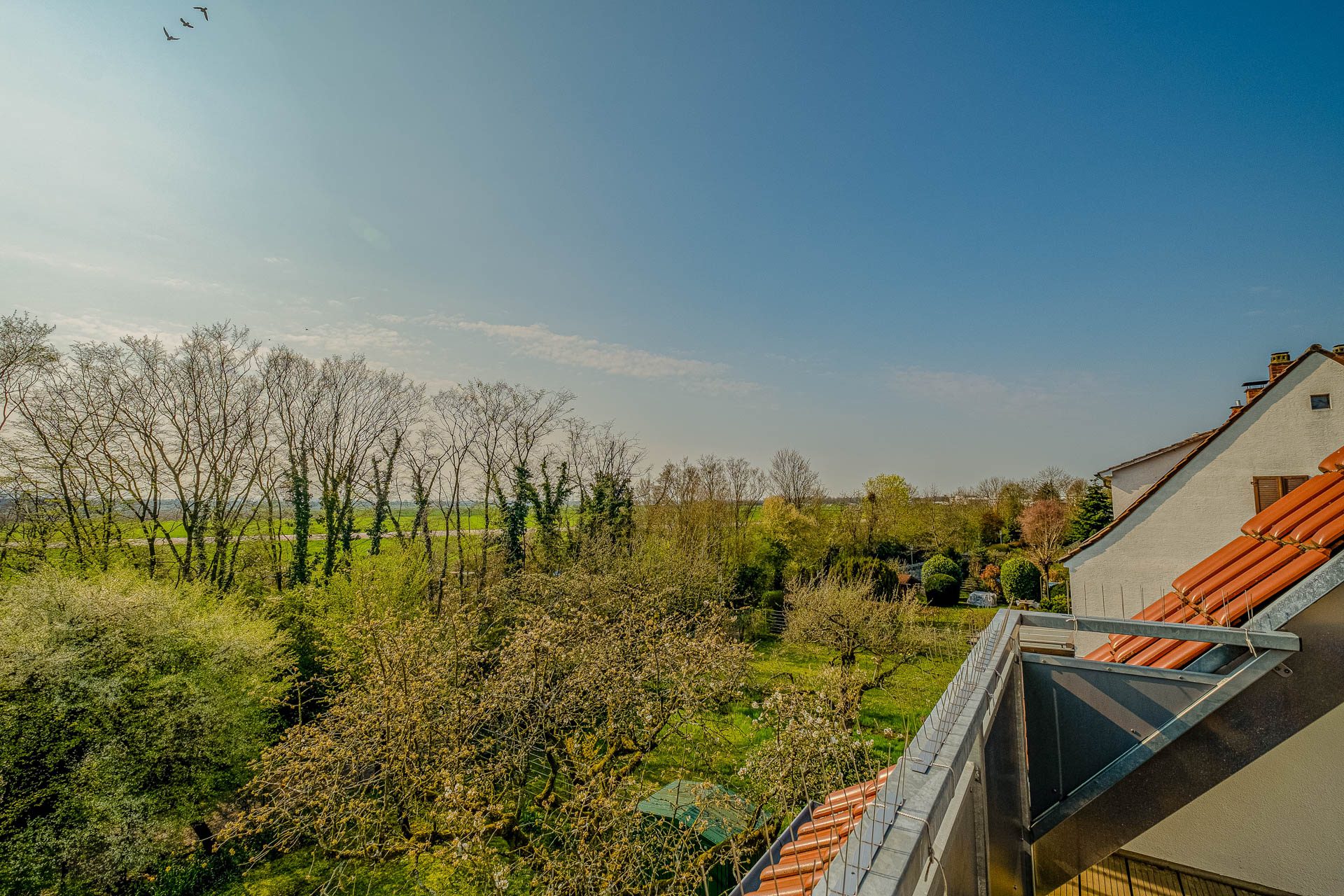 Immobilienangebot - Heidelberg - Alle - Auf Erbpachtgrundstück: 3-Parteienhaus mit Garten, Garagen und vielfältigen Nutzungsmöglichkeiten