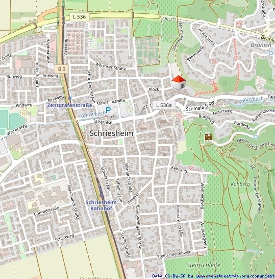 Immobilienangebot - Schriesheim - Alle - Großzügige Maisonette-Wohnung mit
Kamin, Balkon & Dachterrasse im Zentrum Schriesheims