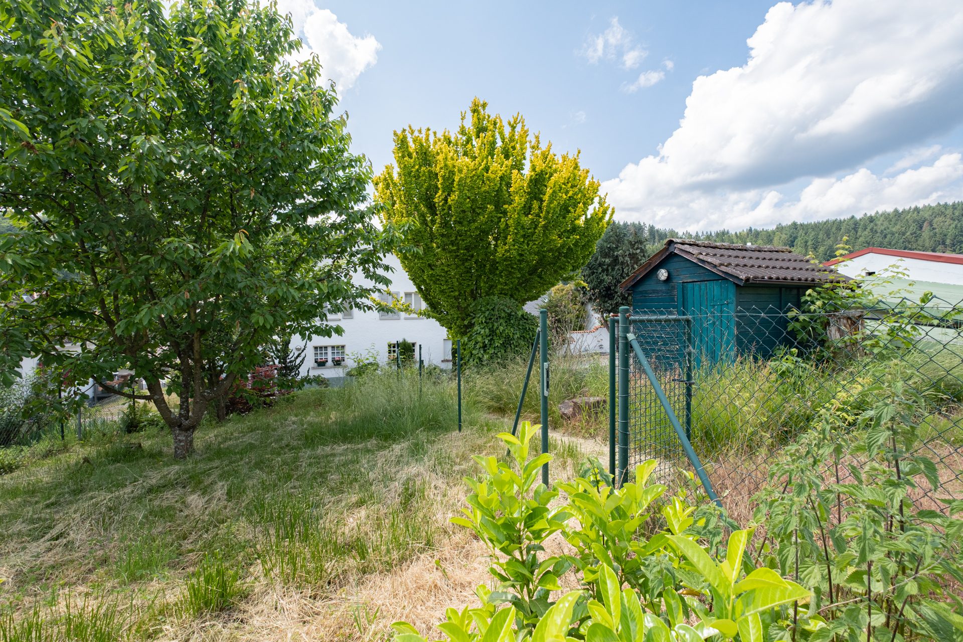 Immobilienangebot - Neckargemünd - Grundstücke - Ruhig wohnen, naturnah leben – Grundstück in Neckargemünd-Mückenloch