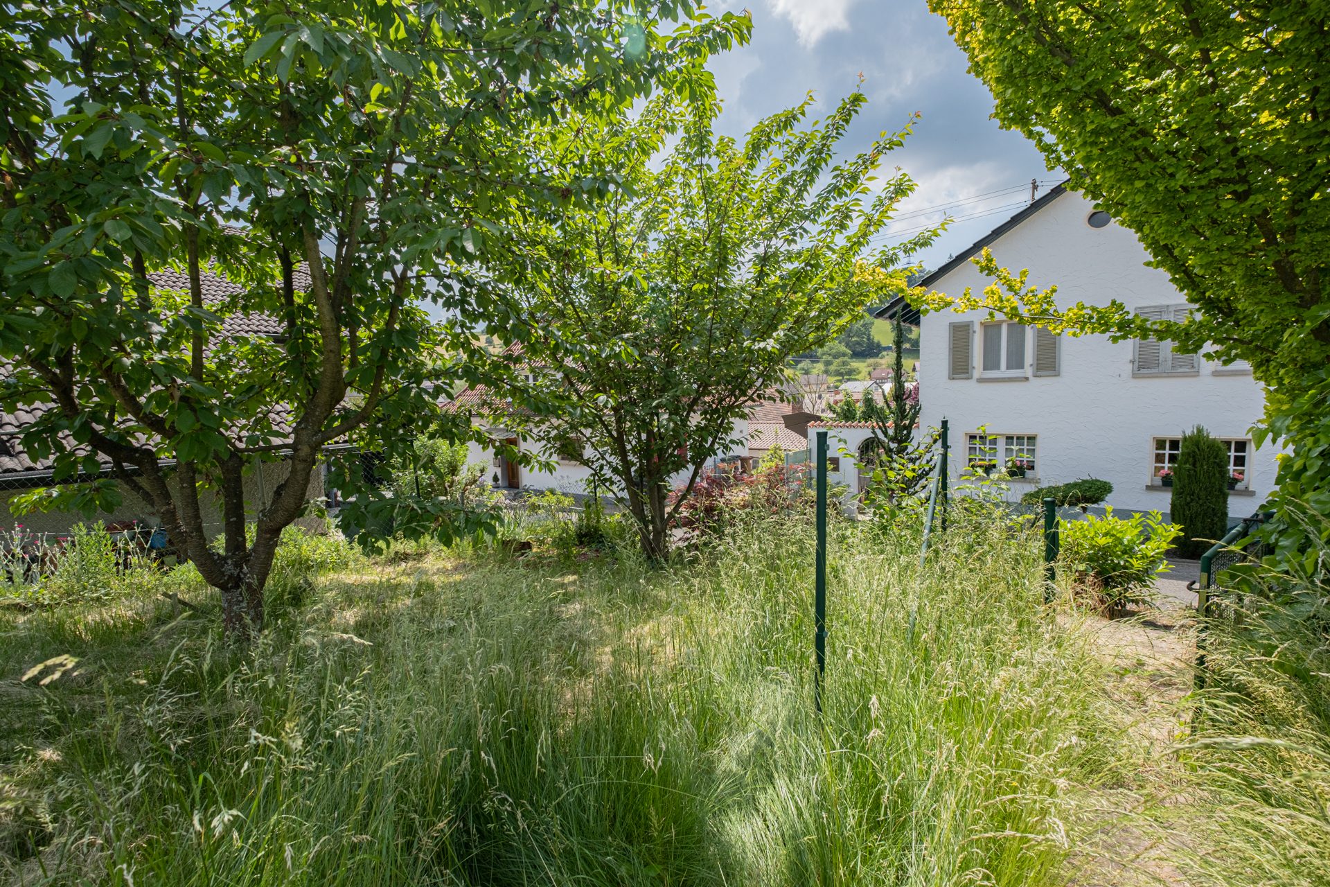 Immobilienangebot - Neckargemünd - Grundstücke - Ruhig wohnen, naturnah leben – Grundstück in Neckargemünd-Mückenloch